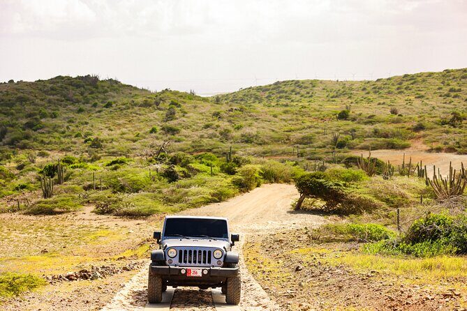 Private and Customized Aruba 4X4 Jeep Adventure - The Itinerary Breakdown: What to Expect