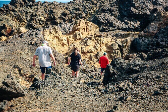 Private and Customized Aruba 4X4 Jeep Adventure - Who’s This Tour Perfect For?