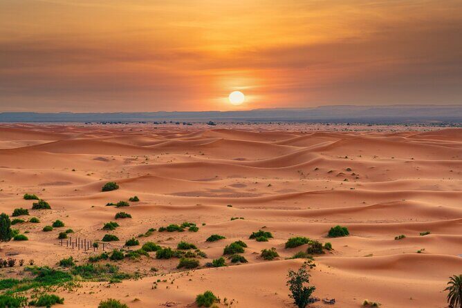 Private and Luxury 3 Day Desert Tour from Fes to Marrakech - Day 1: From Fes to Merzouga – Mountains, Forests, and the Sahara