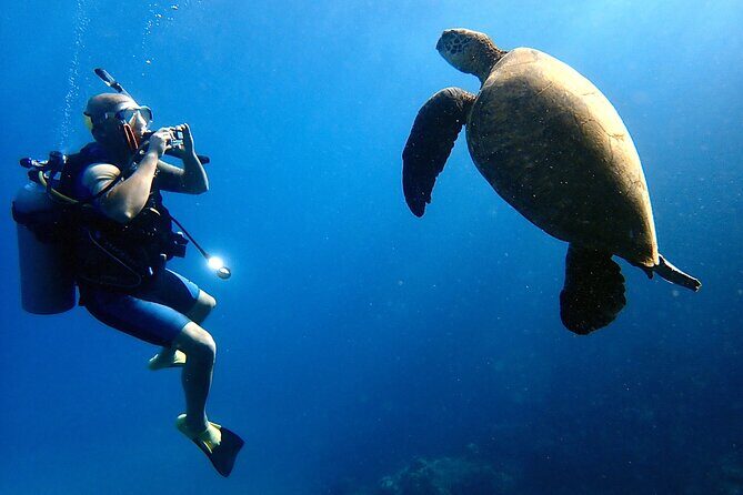 Private and Personalized Scuba Diving Adventures for All Experience Levels - An In-Depth Look at the Maui Snorkel and Dive Adventure