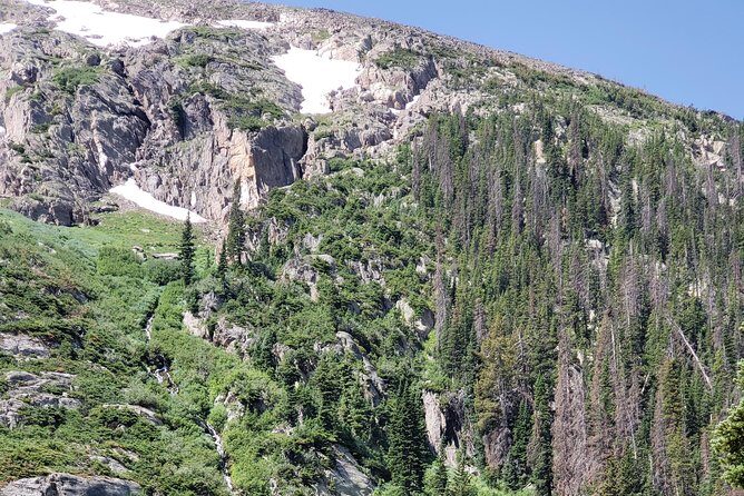 Private and Personalized Three Hour Morning Tour of Rocky Mountain National Park - The Basics of the Tour