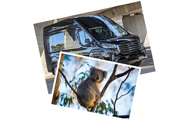 Private and Tailored Mornington Peninsula Wine Tour - What the Reviews Say