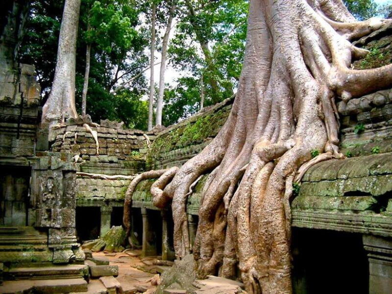 Private Angkor Sunrise, Guide Breakfast and Tuktuk included - FAQs
