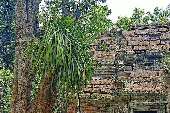 Private Angkor Wat Guided Sunset Tour - Practical Details & Tips