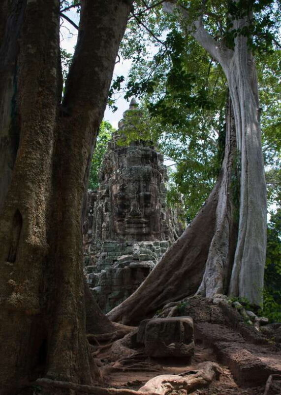 Private Angkor Wat Temple Tour - The Practical Side: What To Expect