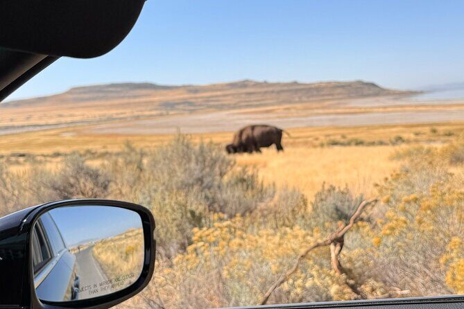 Private Antelope Island & Great Salt Lake Tour - An In-Depth Look at the Tour Itinerary