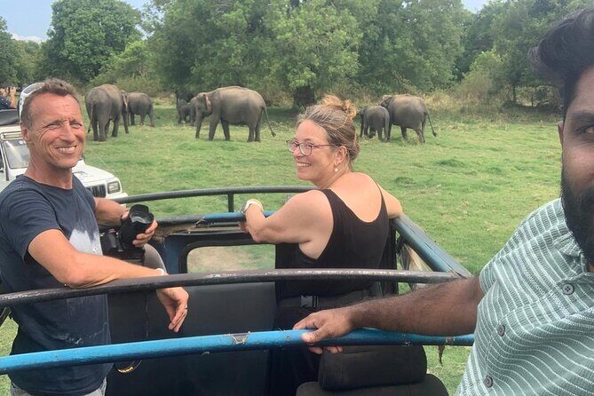 Private Anuradhapura & Wilpattu Safari Day Tour From Dambulla - Key Points