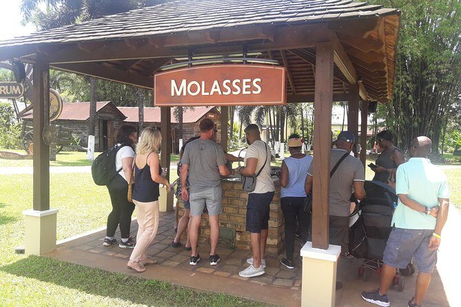 Private Appleton YS Falls and Black River Tour from Montego Bay - Key Points
