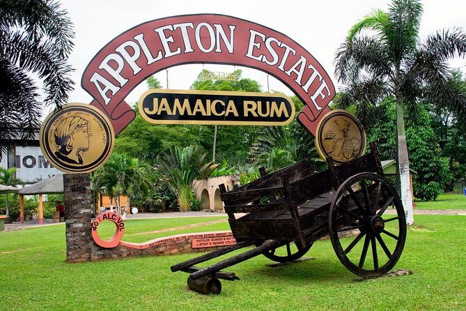 Private Appleton YS Falls and Black River Tour from Montego Bay - What to Expect from the Tour