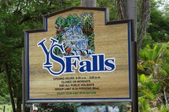 Private Appleton YS Falls and Black River Tour from Montego Bay - Who Would Enjoy This Tour?