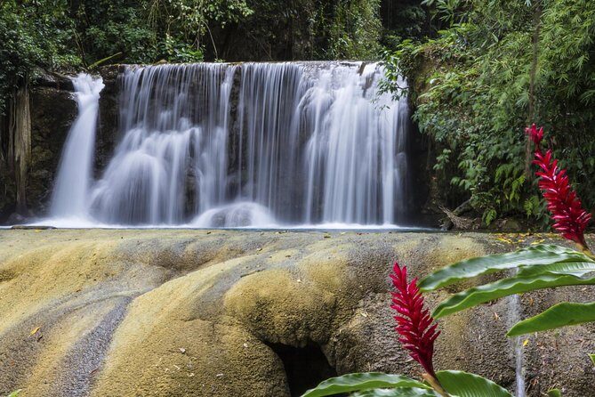 Private Appleton YS Falls and Black River Tour from Montego Bay - FAQ