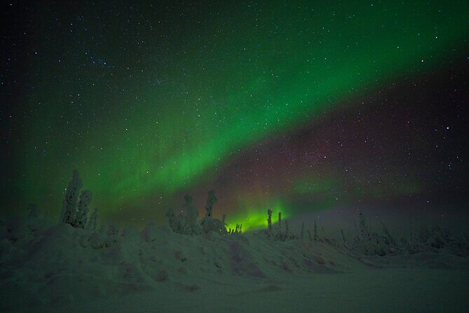 Private Arctic Circle Expedition from Fairbanks - The Value for Money