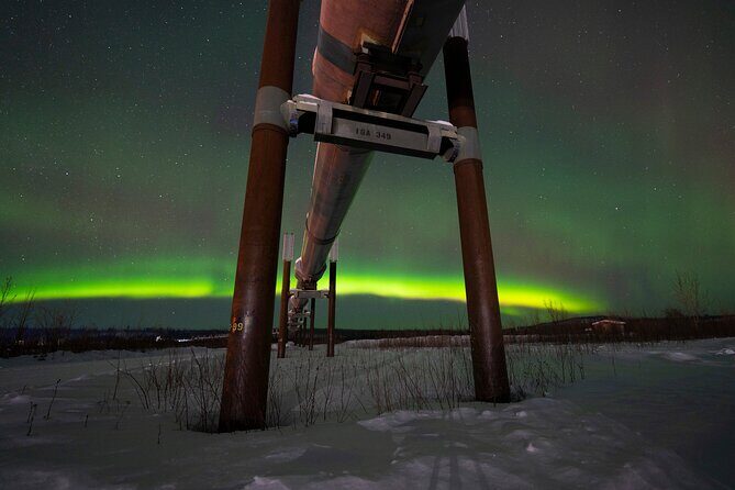 Private Arctic Circle Expedition from Fairbanks - Authentic Experiences and Reviews