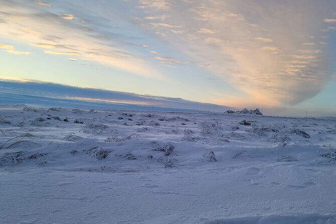 Private Arctic Circle Expedition from Fairbanks - Final Thoughts