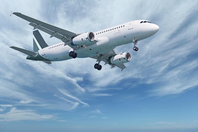 Private Arrival Transfer: Amman Airport to Petra Hotels - What to Expect at the Airport