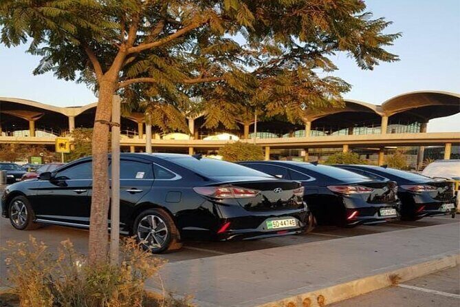 Private Arrival Transfer: Amman Airport to Petra Hotels - The Sum Up: Who Is This Transfer Best For?