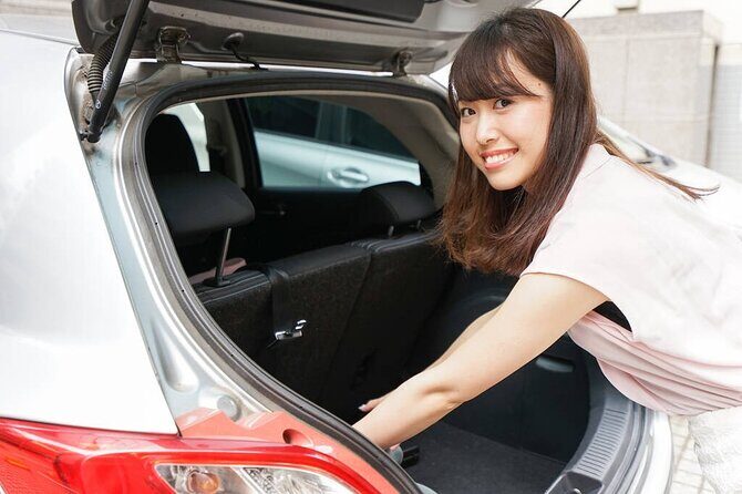 Private Arrival Transfer: Cam Ranh Airport to Nha Trang City Hotels - Why Choose This Transfer?