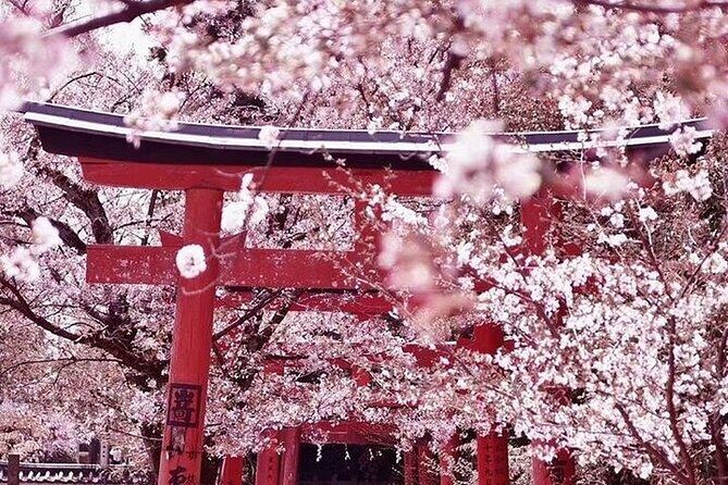 Private arrival transfer from Osaka Itami International airport to Kyoto City - What to Expect on the Day