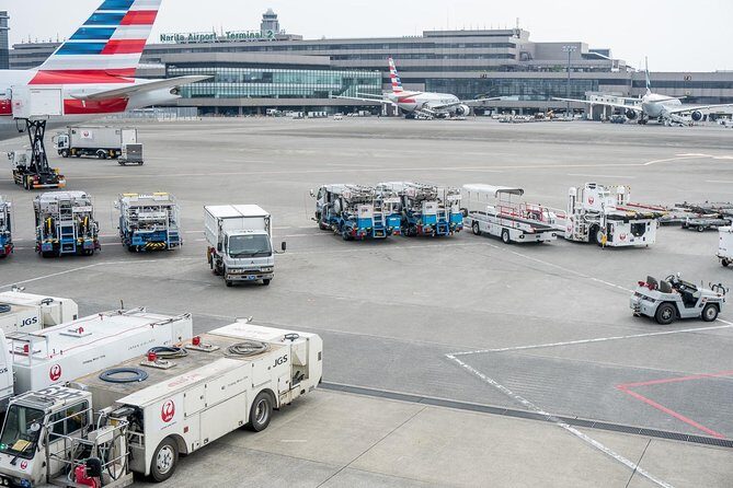 Private Arrival Transfer : Narita International Airport to Tokyo Disney - The Itinerary: What to Expect