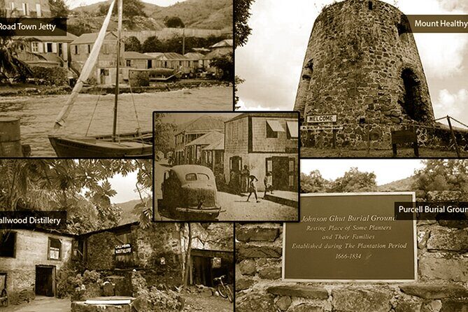 Private Art & Culture Tour in Tortola Virgin Islands - Who Will Love This Tour?