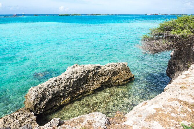 Private Aruba Beach Hop and Snorkel Experience - An In-Depth Look at the Aruba Beach Hop and Snorkel Tour