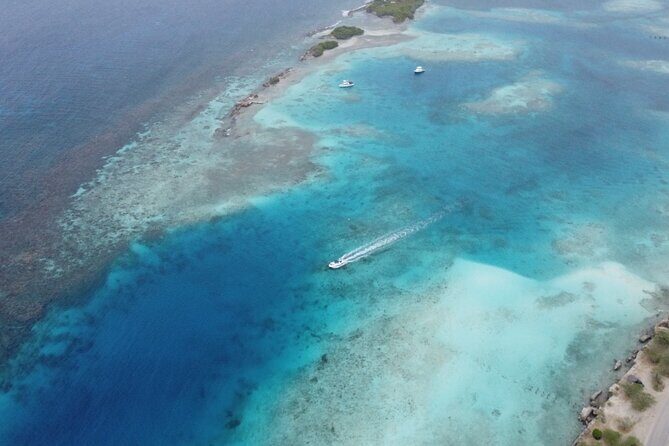 Private Aruba Kayak & Snorkeling Tour + Transortation - Final Thoughts