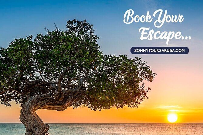 Private Aruba roundtrip airport transfer - Final Thoughts