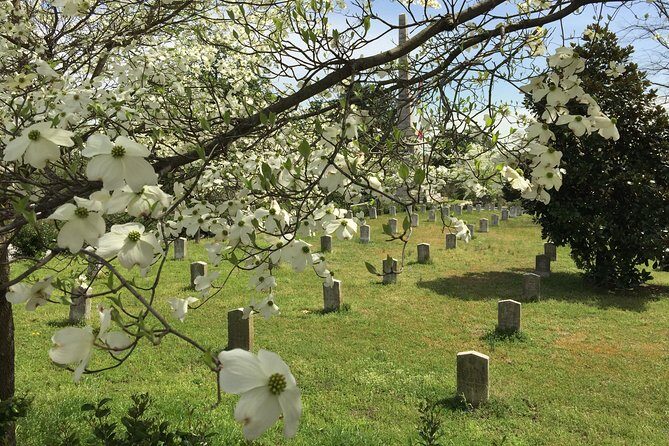 Private Atlanta History Tour From Civil War to Civil Rights - Final Words