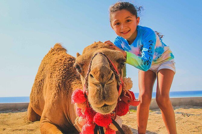 Private ATV and Camel Ride on a White Sand Beach - Why This Tour Offers Great Value