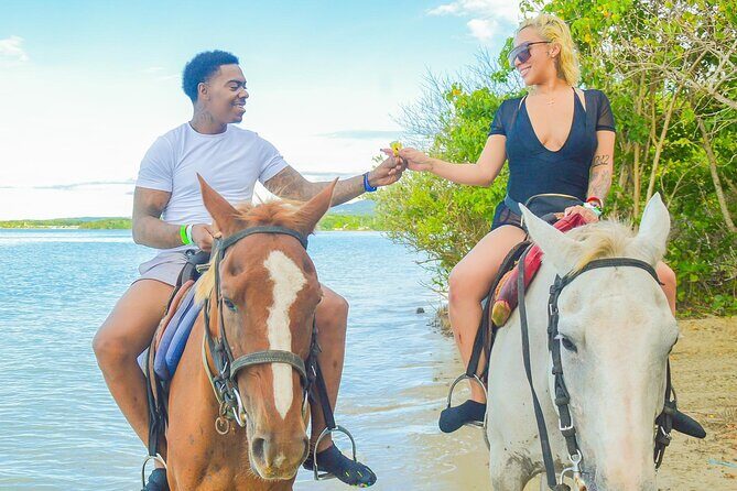 Private ATV, Horse Back Ride & Blue Hole Experience in Ocho Rios - An In-Depth Look at the Tour