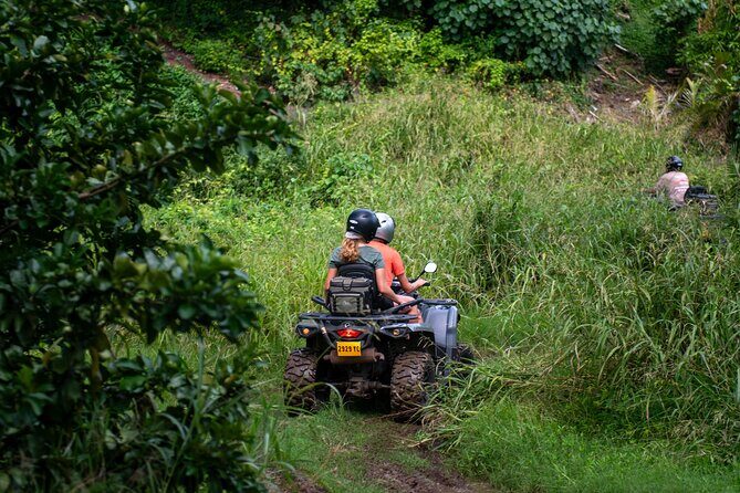 Private ATV or Quad Adventure in Bora Bora - The Value for the Price