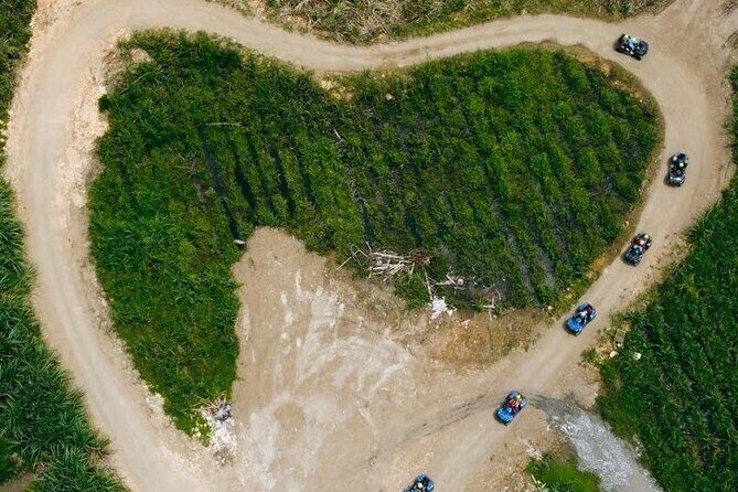 Private ATV Ride 7 Mile Beach & Ricks Café Negril Tour - An In-Depth Look at the Tour Experience