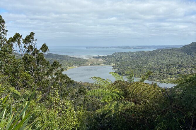 Private Auckland best Spots + Piha beach and rainforest day Tour - What Makes This Tour Stand Out