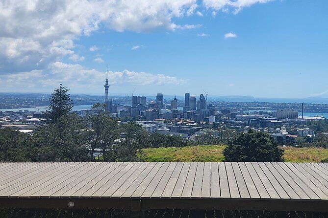 Private Auckland Best Top 5 Spots Half day Tour - Key Points