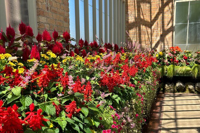 Private Auckland Best Top 5 Spots Half day Tour - An In-Depth Look at the Tour Experience