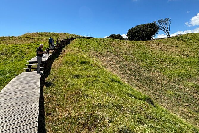 Private Auckland Best Top 5 Spots Half day Tour - Authentic Feedback from Travelers