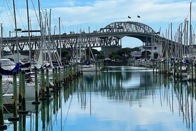Private Auckland Best Top 5 Spots Half day Tour - The Sum Up: Who Should Book This Tour?