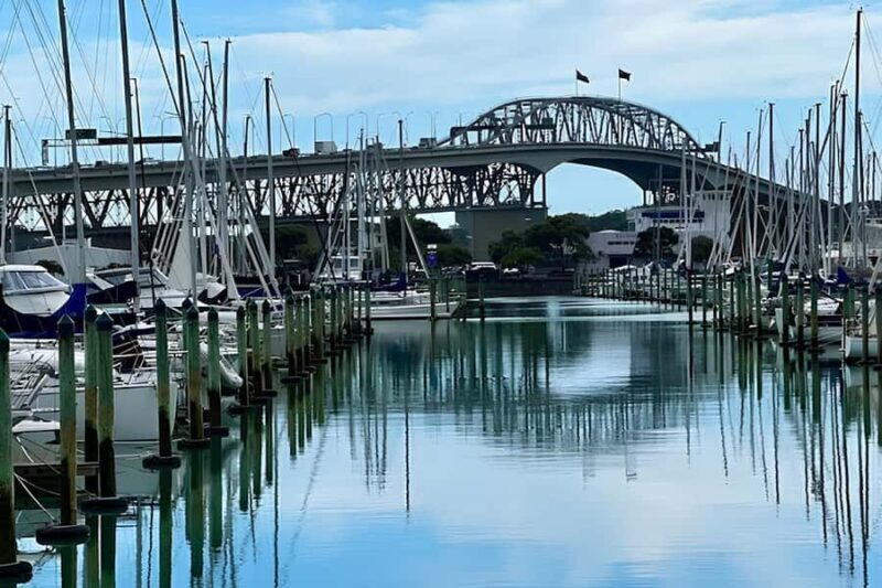 Private Auckland Best Top 5 Spots Half day Tour - Key Points