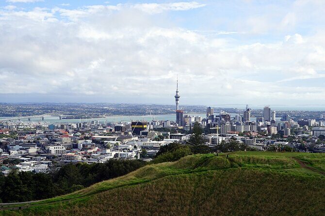 Private Auckland City Highlights Tour - Who Will Enjoy This Tour?
