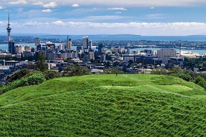 Private Auckland City Tour For Small Group in a luxury vehicle. - Authentic Reviews: What Real Travelers Say