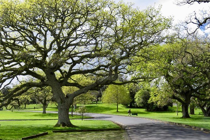 Private Auckland City Tour For Small Group in a luxury vehicle. - The Cost: Is It Worth It?