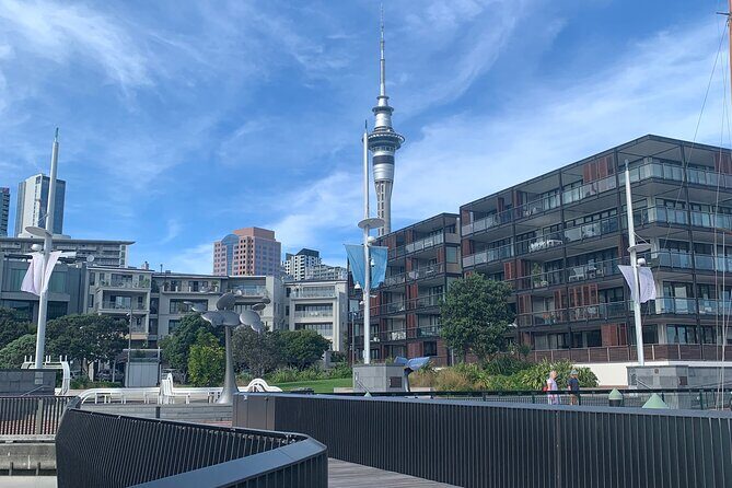 Private Auckland City Tour Including Auckland Tour House Visit - The Sum Up: Who Should Consider This Tour?