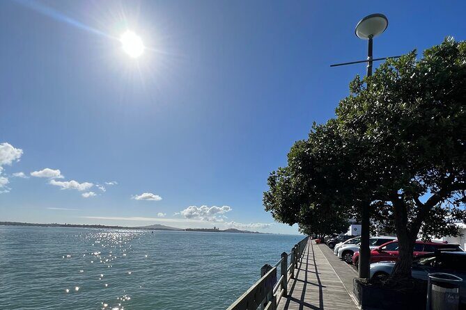 Private Auckland City Tour With Spectacular Harbour Views - An In-Depth Look at the Experience