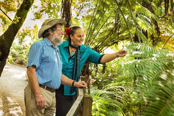 Private Auckland Half Day Tour - FAQ