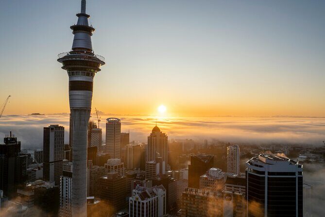 Private Auckland Half Day Tour of Attractions and Museums - The Itinerary: A Closer Look