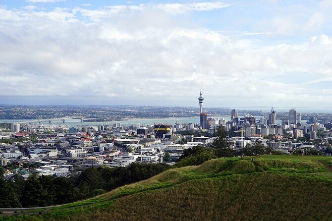 Private Auckland Half Day Tour of Attractions and Museums - Who Is This Tour Best For?