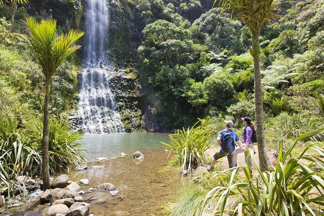 Private Auckland Luxury Tour - Value for Money