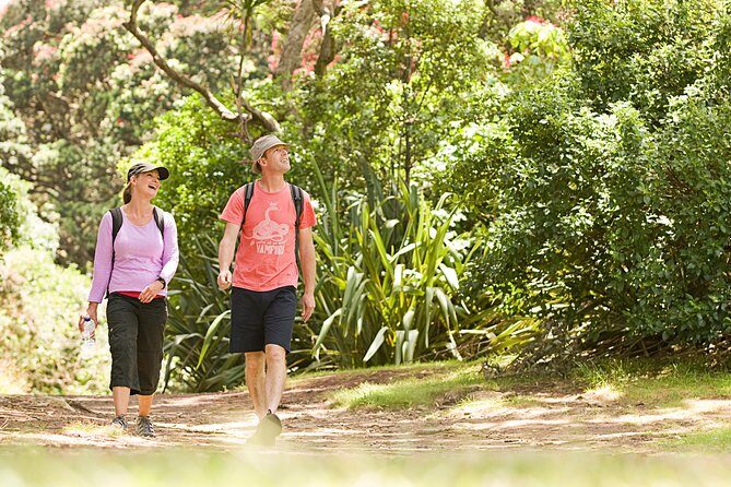 Private Auckland Luxury Tour - Authentic Experiences and Local Support