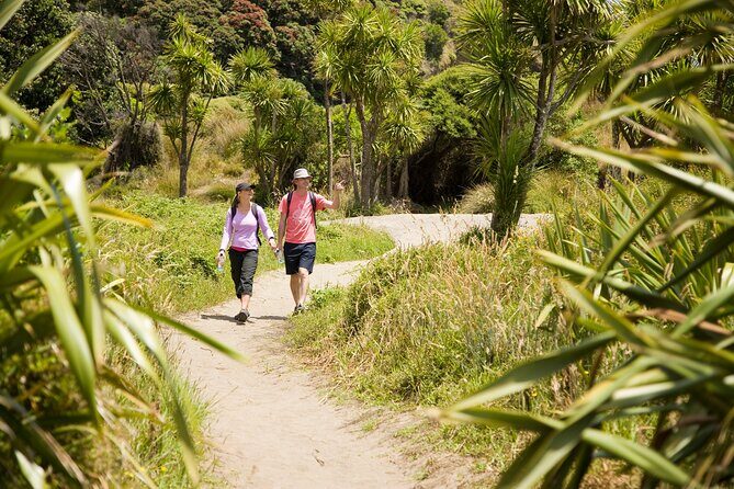 Private Auckland Luxury Tour - Final Thoughts