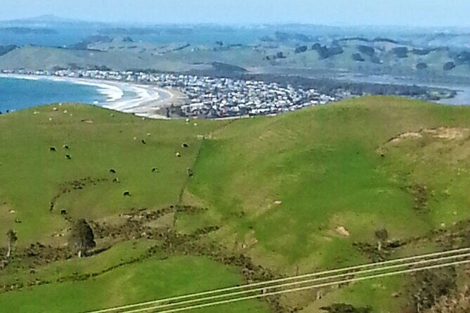 Private Auckland North Eastern Coast Tour - Key Points